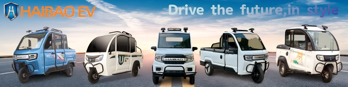 전기 자동차 골프 카트