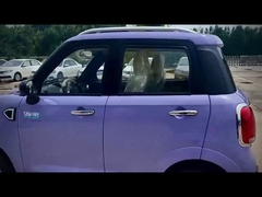 비싼 비용 성능과 상등품과 최고급 전기 4륜 구동 차량