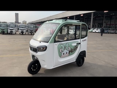 800W 승객 전기 세발 자전거 성인들 승객 3 휠 전기 세발 자전거